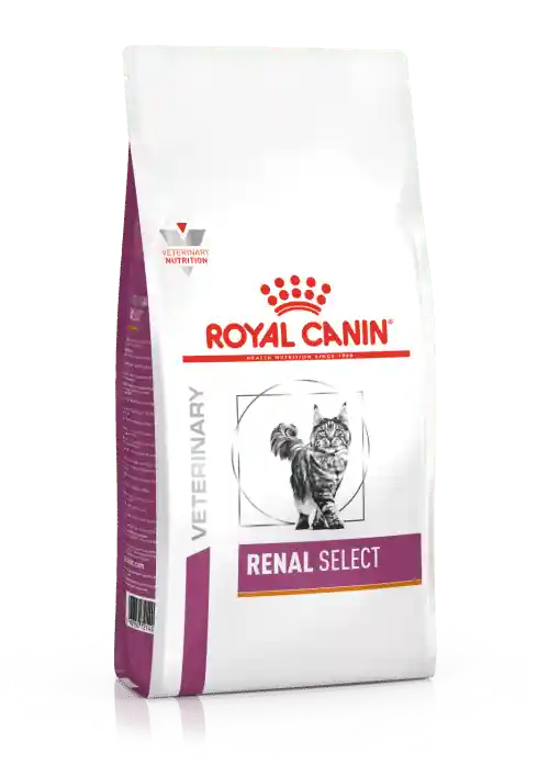 غذای خشک گربه رویال کنین مدل Renal Select بسته 2 کیلوگرمی