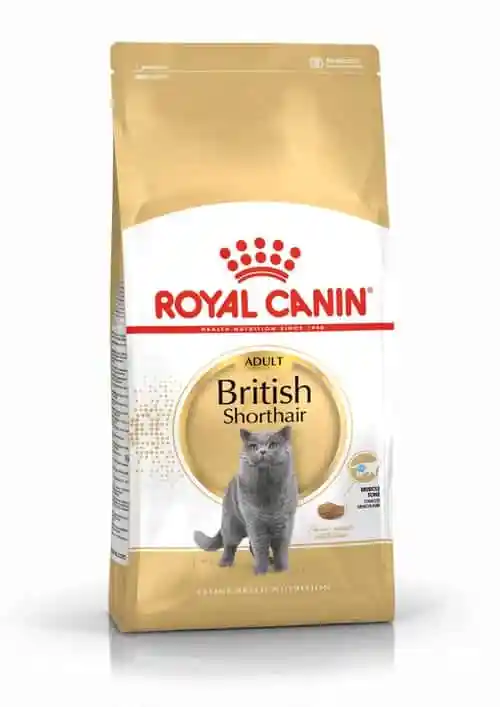غذای خشک گربه رویال کنین مدل British Shorthair Adult وزن 4 کیلوگرم