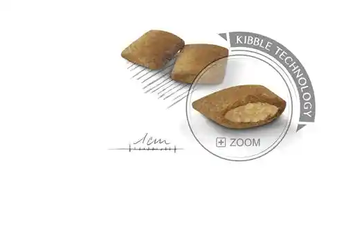 غذای رویال کنین اکسیجنت سگ (Mini Exigent) وزن 3 کیلوگرم