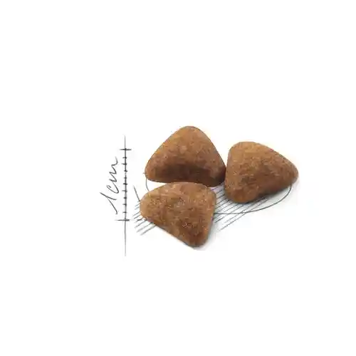 غذای خشک گربه رویال کنین مدل indoor وزن 2 کیلوگرم - تصویر 3