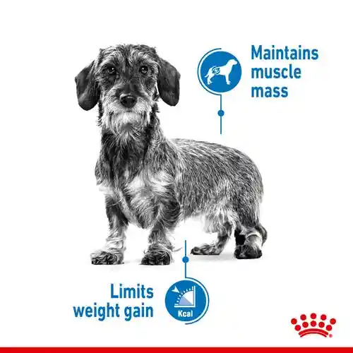 غذای خشک سگ رویال کنین مدل Mini Light Weight Care وزن 3 کیلوگرم - تصویر 4