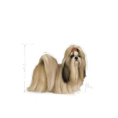 غذای خشگ سگ رویال کنین مدل Shih Tzu Adult وزن 1.5کیلوگرمی - تصویر 4