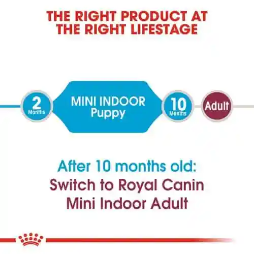 غذای خشک سگ رویال کنین مدل Mini Indoor Puppy وزن 1.5 کیلوگرم - تصویر 5