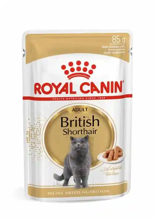 پوچ گربه رویال کنین مدل British Shorthair