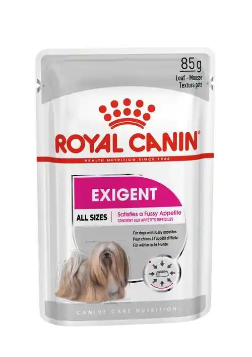 پوچ سگ رویال کنین مدل Exigent