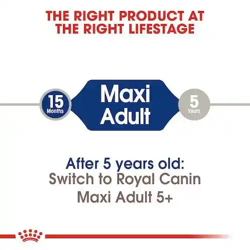 غذای خشک سگ رویال کنین مدل Maxi Adult