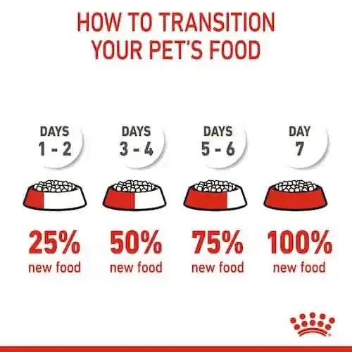 غذای خشک توله سگ رویال کنین مدل Medium Puppy