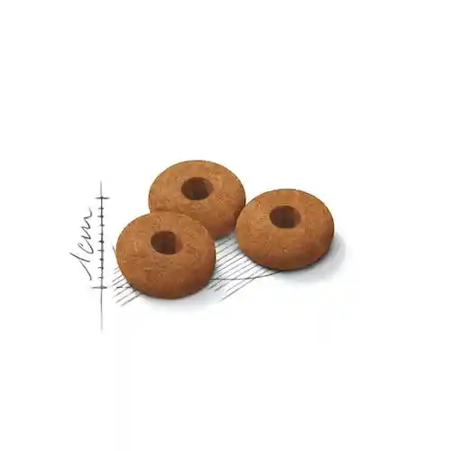 غذای خشک گربه رویال کنین مدل Appetite Control Care