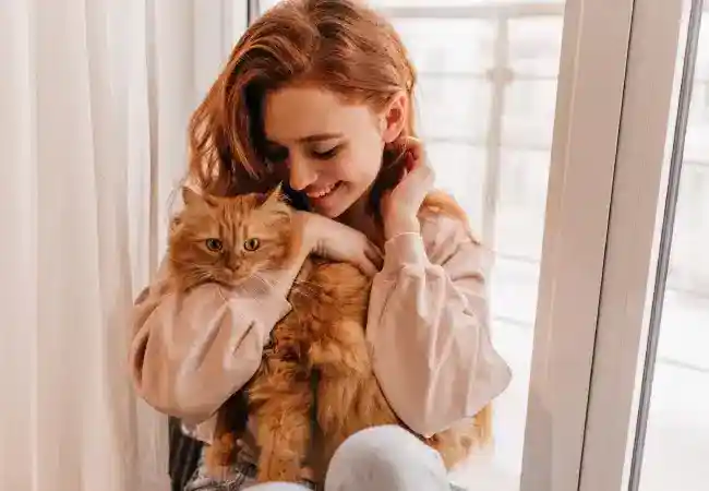 انتخاب اسم گربه فارسی و خارجی+ انتخاب اسم گربه بر اساس ظاهر و ویژگی