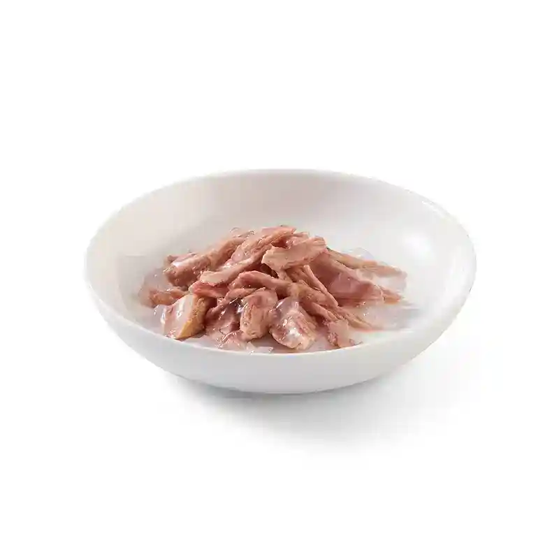 کنسرو گربه شسیر با طعم ماهی تن در ژله